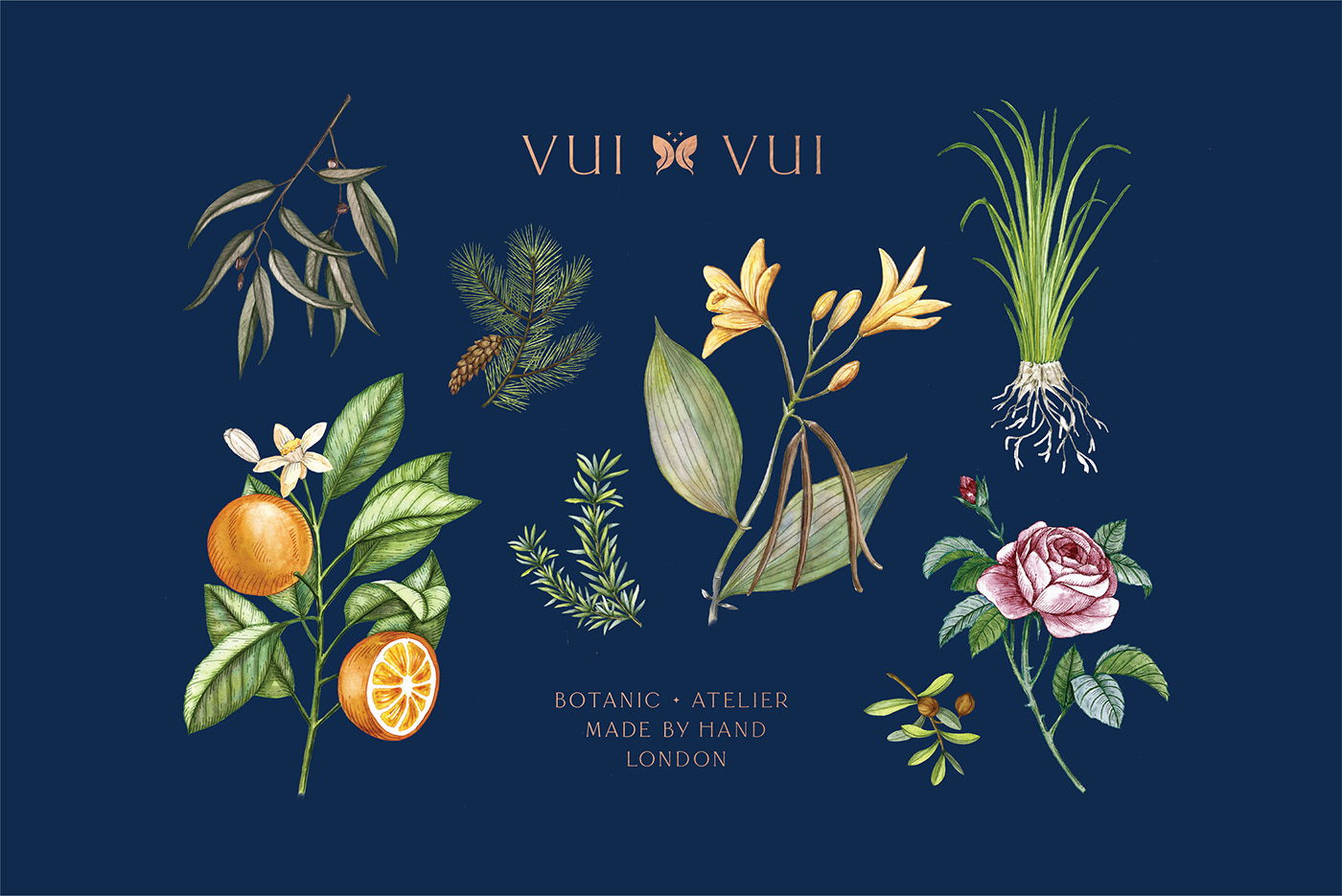 能让人想起传统的植物学书籍的护肤品包装设计(图8)