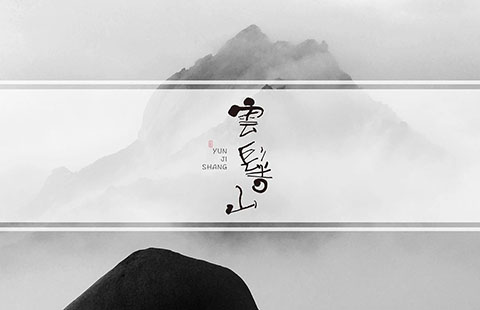 旅游品牌案例