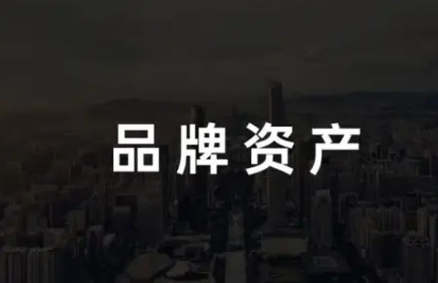 每一个品牌需要建立品牌资产